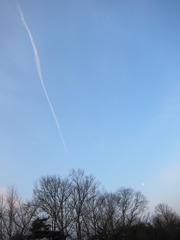 冬の飛行機雲