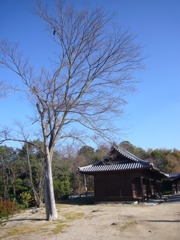 P1050406