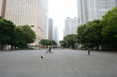 SHINJUKU PARK