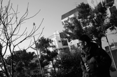 朝からチュウハイ