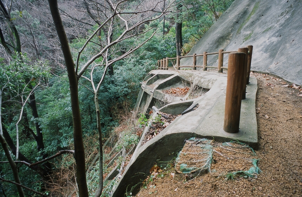 素敵な斜面