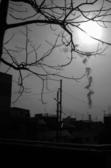 放心　２