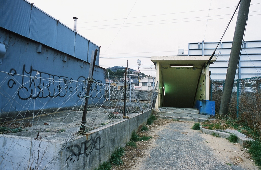 stephen shore