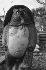珍しい