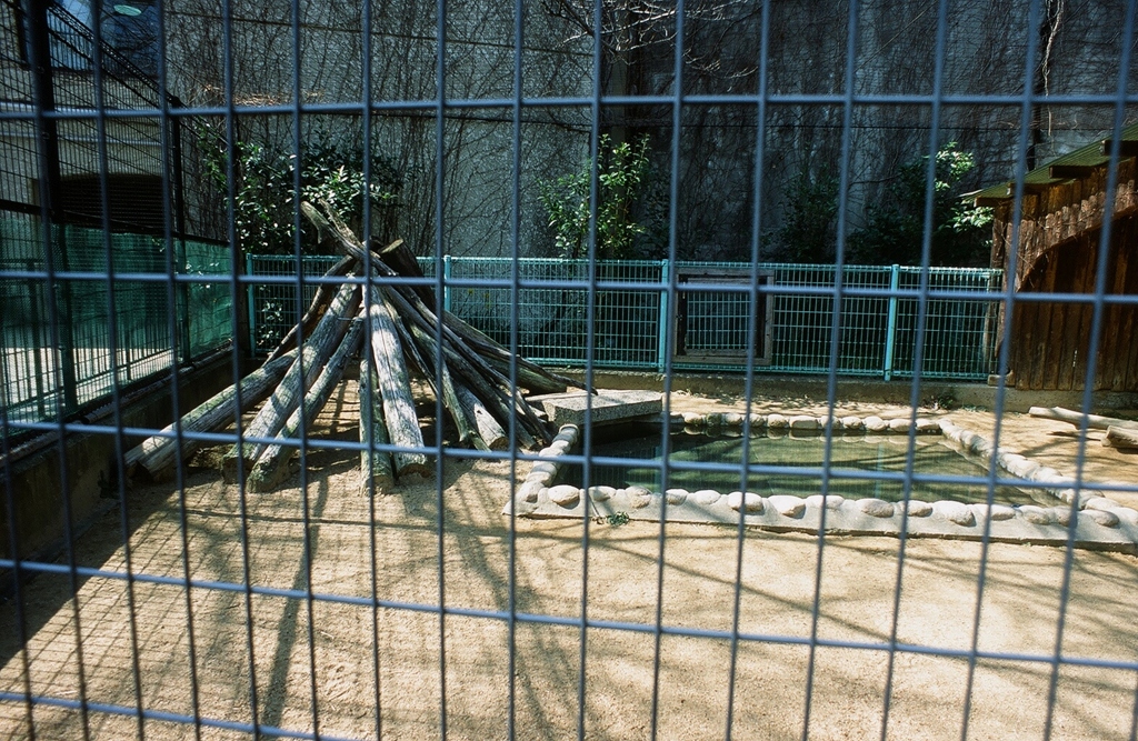 カピパラ