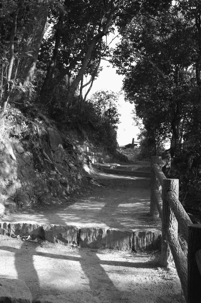 登山道
