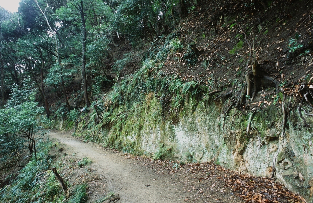 素敵な山中