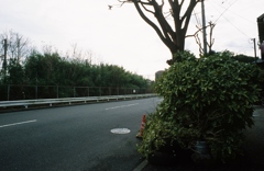 遠く離れていても