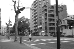 路上で一人ぼっち