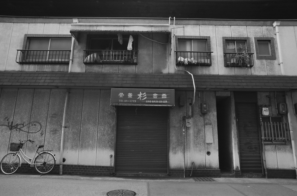 骨董　杉