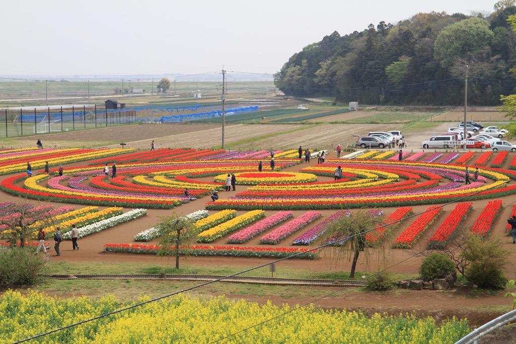 あけぼの山農業公園　高台より