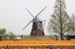 あけぼの山農業公園　風車