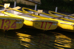 １１７