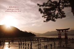 The World Heritage Miyajima