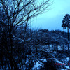 雪景色