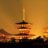 黄金の薬師寺