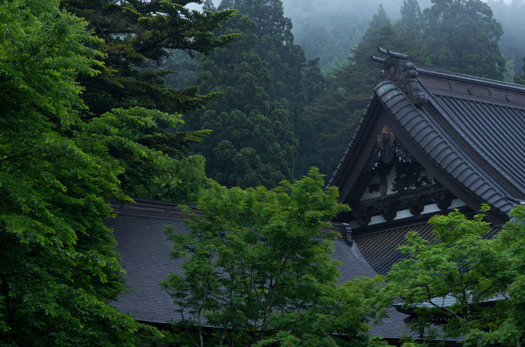 神の湿感