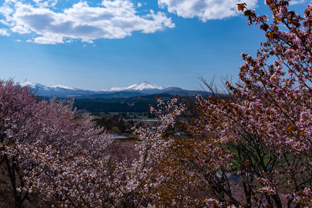 八甲田山