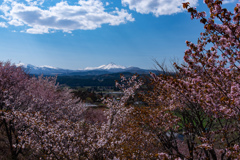 八甲田山