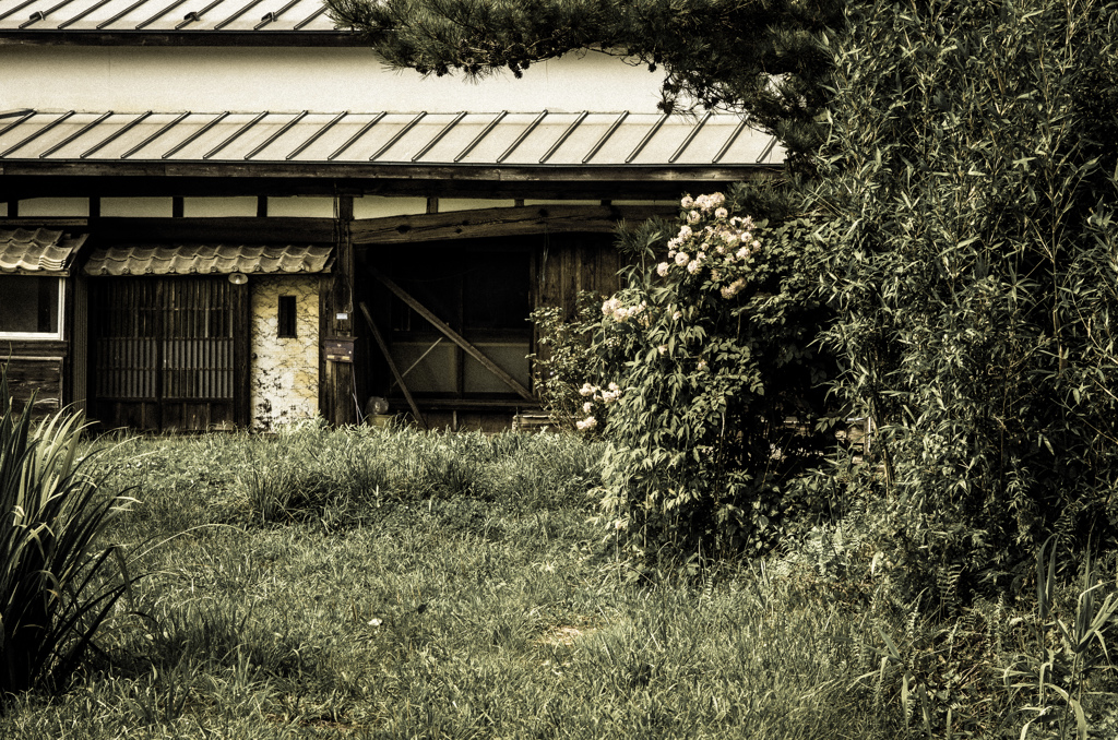 遠野　～淘汰～