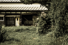 遠野　～淘汰～