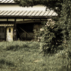 遠野　～淘汰～