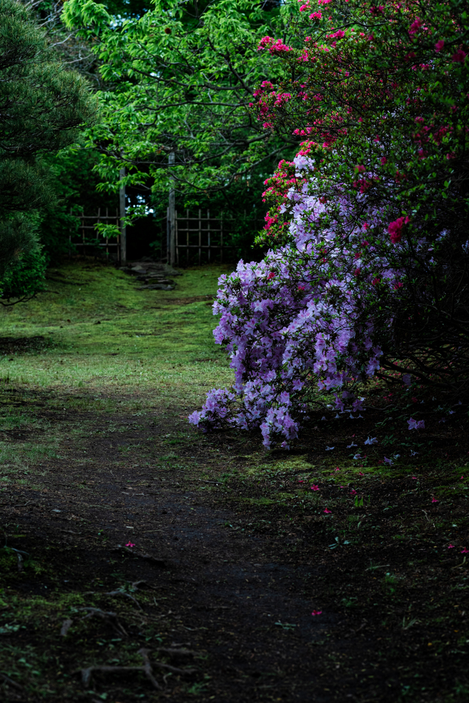 ５月