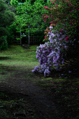 ５月