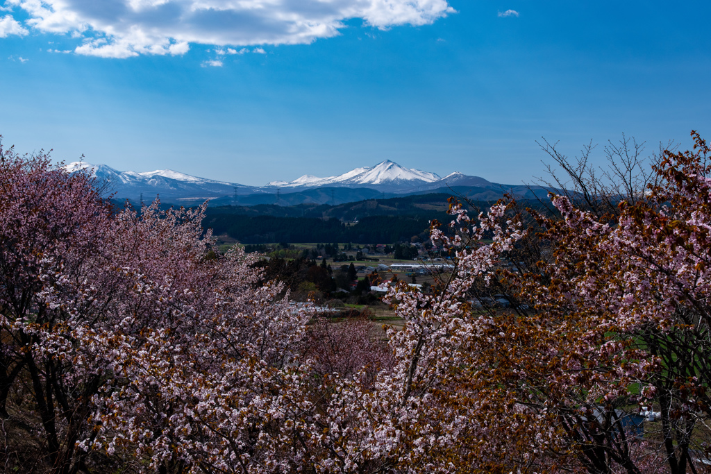 八甲田山２