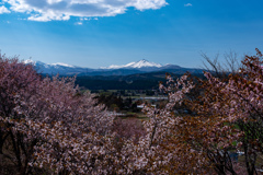 八甲田山２
