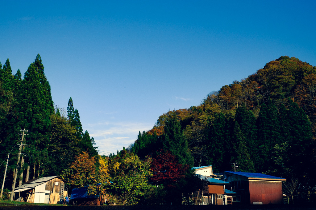 ある年の風景
