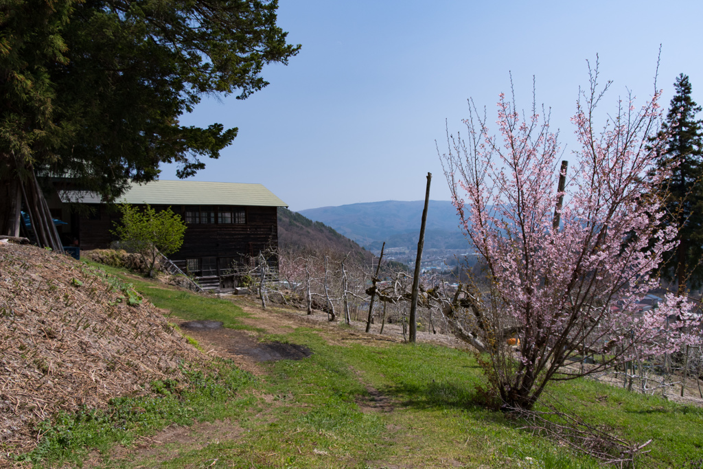 里山散策