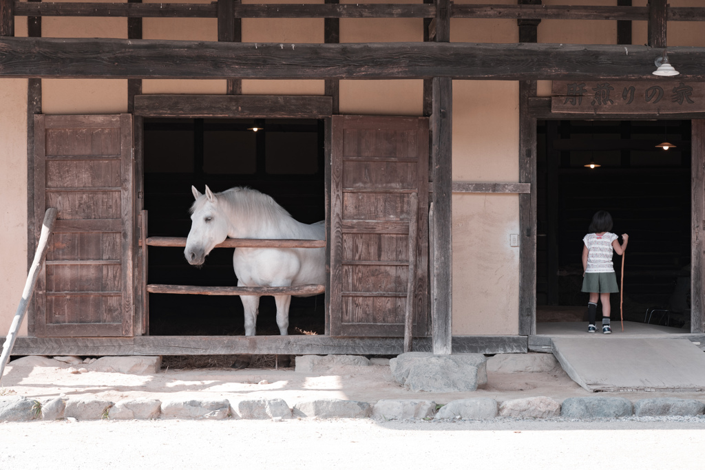 オシラサマと云ふ伝承