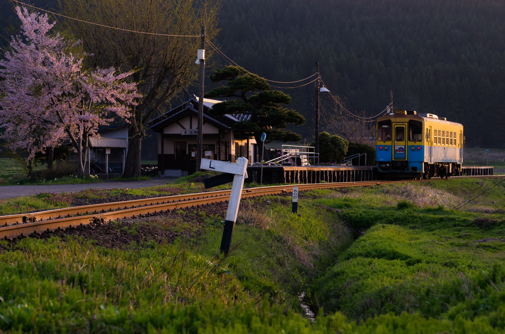 春旅