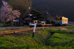 春旅