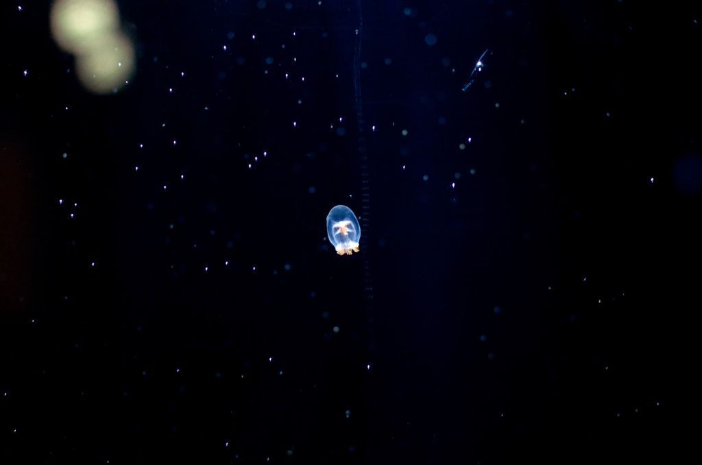 宙