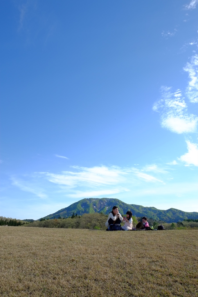 Holiday