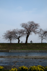親子