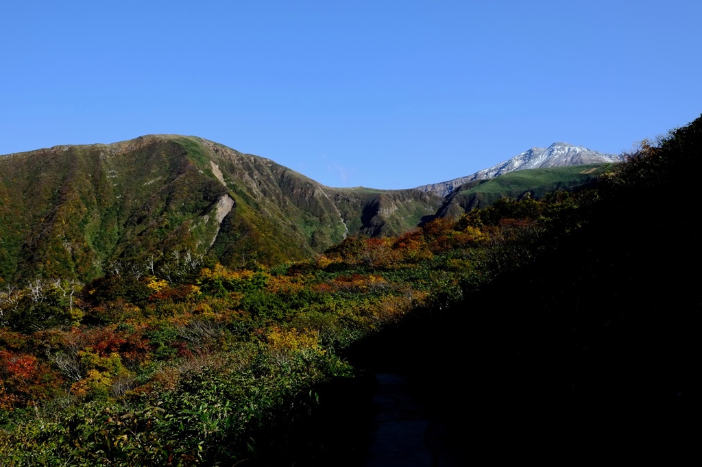 秋景