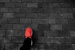 Step