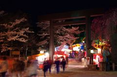 さくら祭り