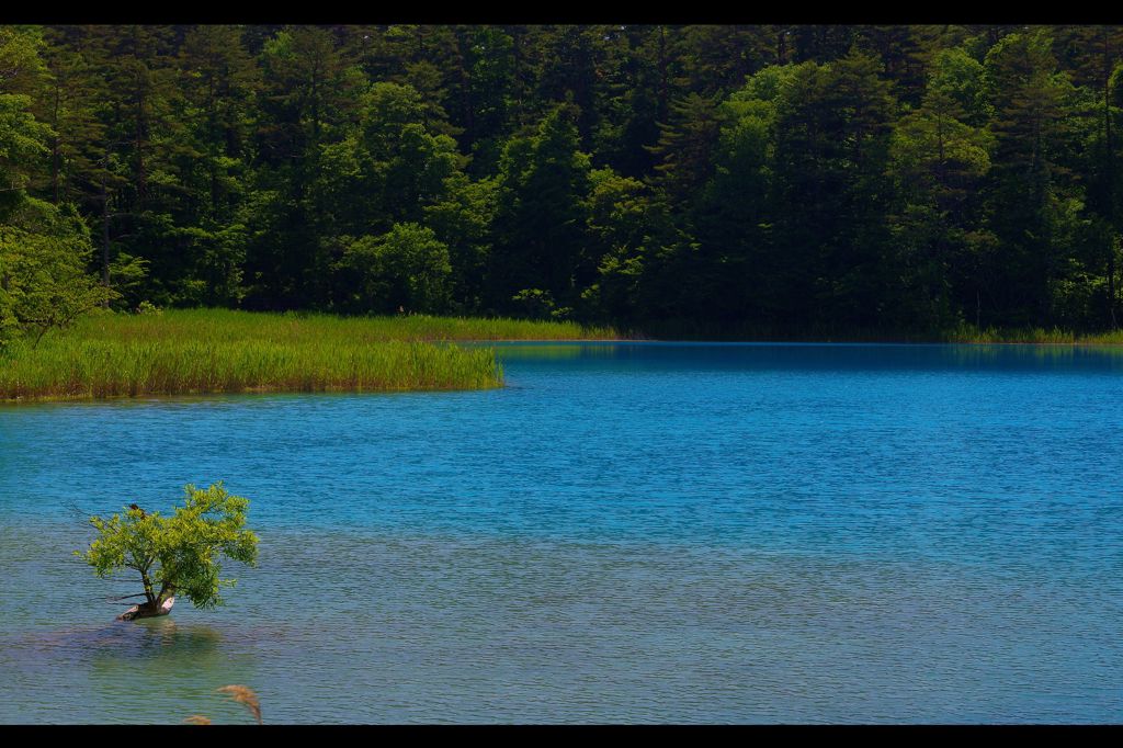 彩る湖