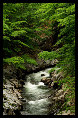 裏磐梯：中津川渓谷