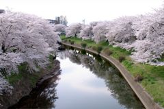 鏡川