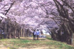 ずっと一緒