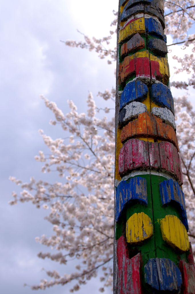Totem Poleのお花見