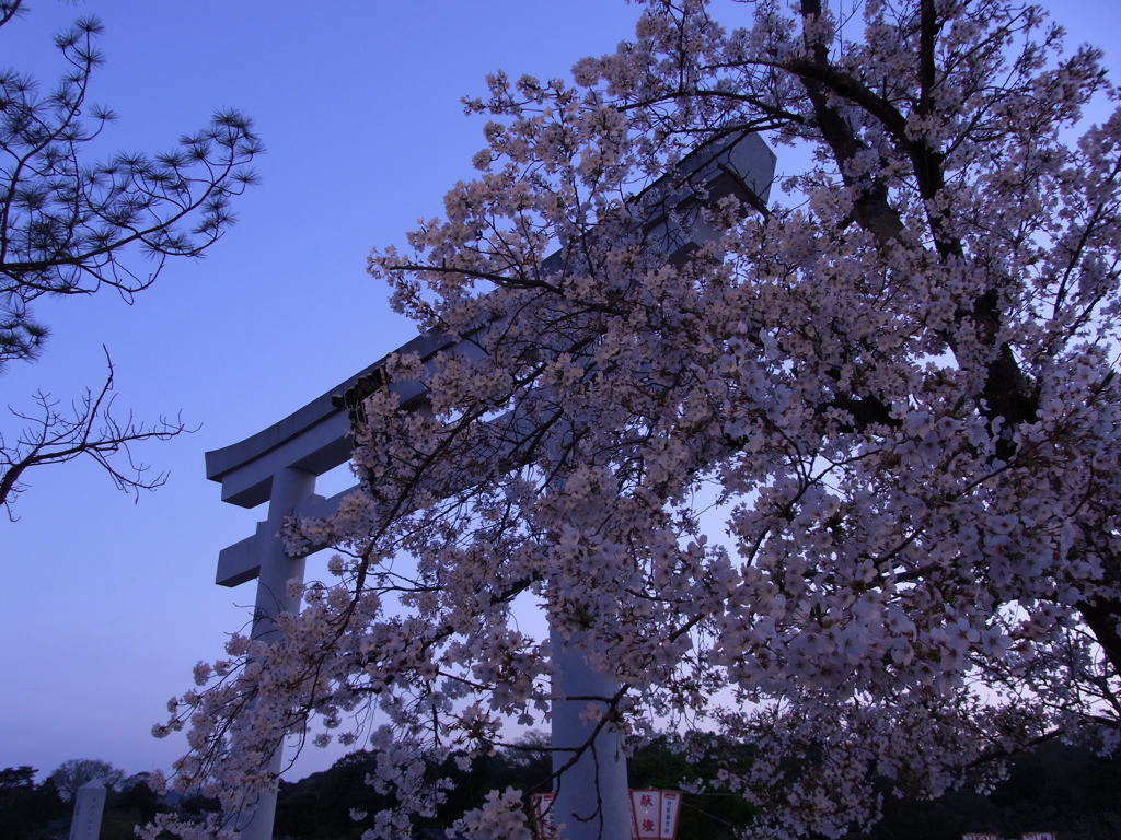 天神さんにて