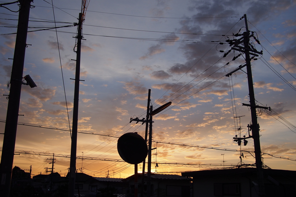 朝はまた来る