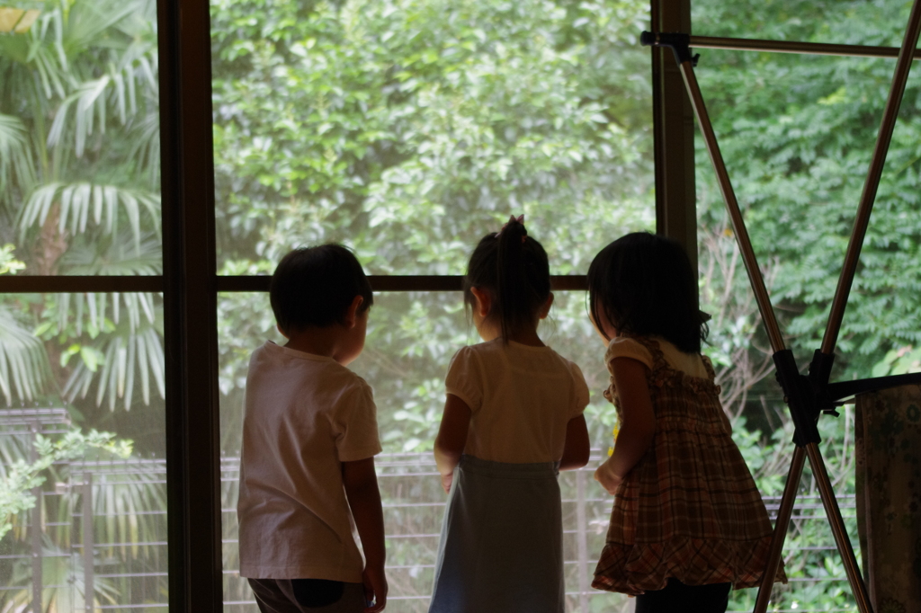 夏の扉　－小さな瞳に映るもの－