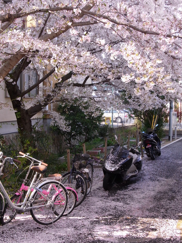 街角つもる春の色